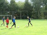 Eerste training SJO D.Z.C. '09/S.K.N.W.K. JO13-1 van het seizoen 2022-2023 (16/74)